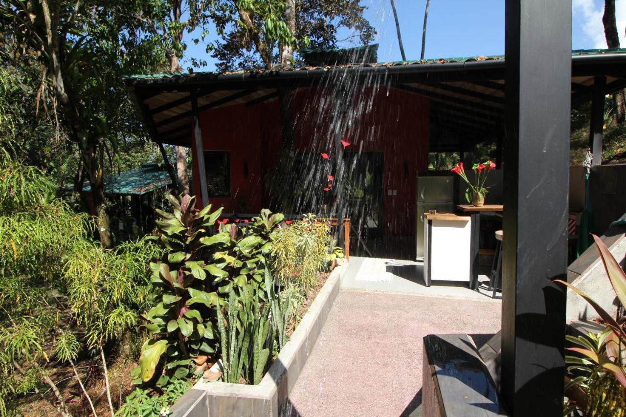 Oasis De Las Palmas Охочал Екстериор снимка